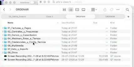 La ventana del Finder con la carpeta ORDENAR ya organizada en ocho subcarpetas: facturas y pagos, contratos y propuestas, cursos y capacitación, webinars, credenciales y configuración técnica, multimedia, data y exports, y otros.